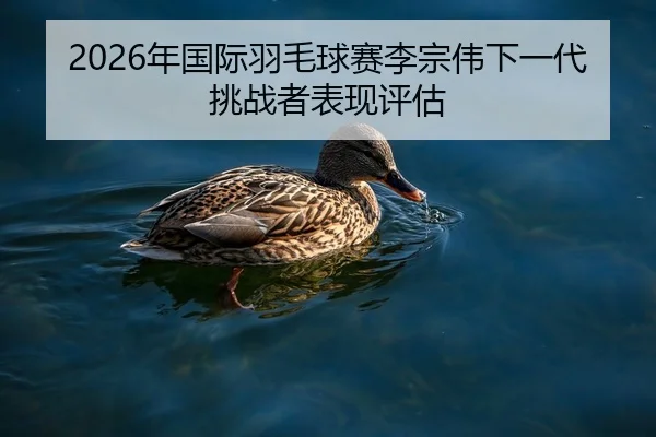 2026年国际羽毛球赛李宗伟下一代挑战者表现评估