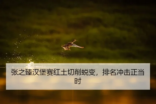 张之臻汉堡赛红土切削蜕变，排名冲击正当时