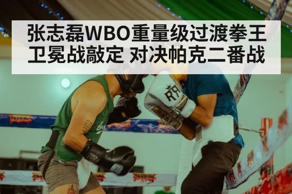 张志磊WBO重量级过渡拳王卫冕战敲定 对决帕克二番战