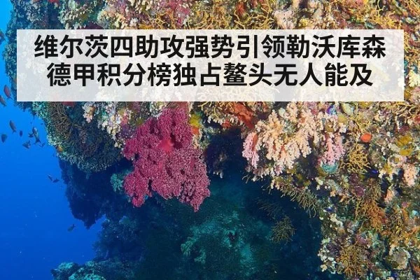 维尔茨四助攻强势引领勒沃库森德甲积分榜独占鳌头无人能及